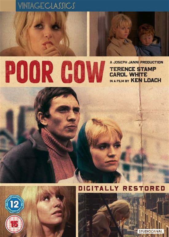 Cover for Fox · Poor Cow (DVD) (2016)