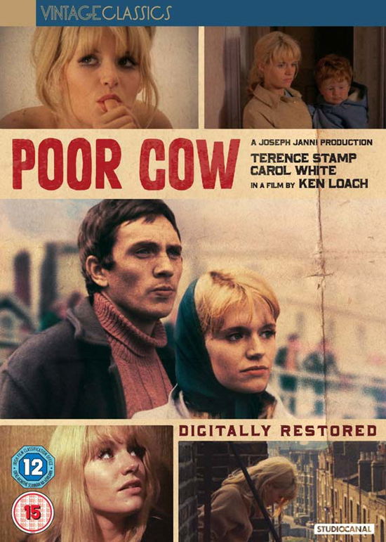 Cover for Fox · Poor Cow (DVD) (2016)