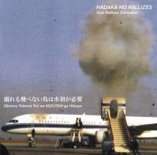 Cover for Hadaka No Rallizes (Les Rallizes Denudes) · Flightless Bird Needs Water Wings 1 (LP) (2024)