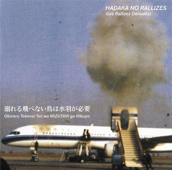 Cover for Hadaka No Rallizes (Les Rallizes Denudes) · Flightless Bird Needs Water Wings - Vol. 1 (LP) (2024)