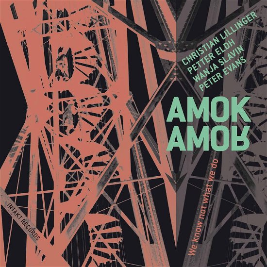 Cover for Amok Amor · We Know Not What We Do (CD) (2017)