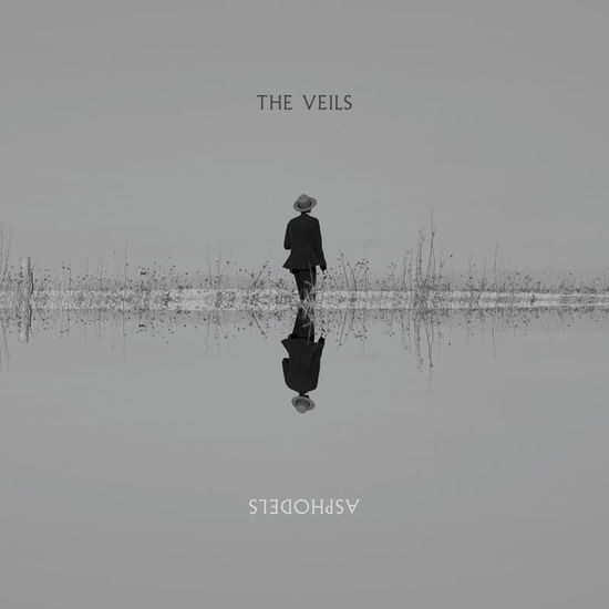 Cover for The Veils · Asphodels (LP) (2025)