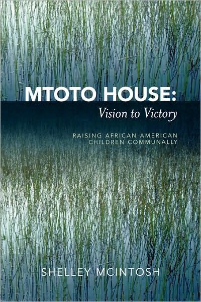 Cover for Shelley McIntosh · Mtoto House: Vision to Victory: Raising African American Children Communally (Paperback Book) (2005)