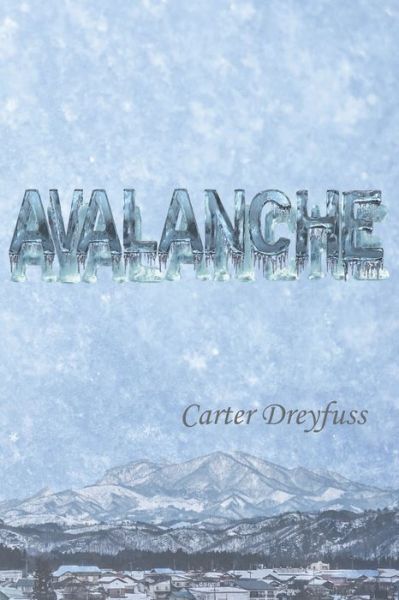 Cover for Carter Dreyfuss · Avalanche (Book) (2019)