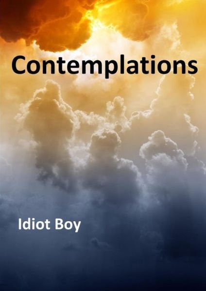 Cover for Idiot Boy · Contemplations (Paperback Bog) (2015)