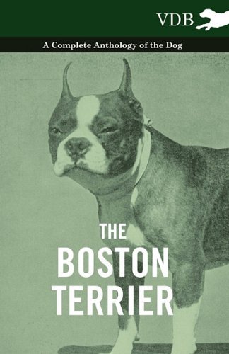 Cover for The Boston Terrier - a Complete Anthology of the Dog - (Paperback Book) (2010)