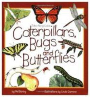 Cover for Mel Boring · Caterpillars, Bugs and Butterflies - Take-Along Guide (Paperback Book) (1996)