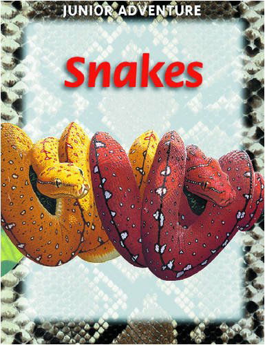 Cover for Sharon Dalgleish · Snakes (Junior Adventure) (Hardcover Book) (2002)