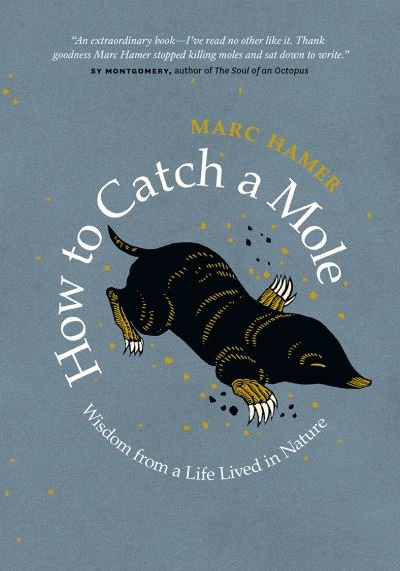 Cover for Marc Hamer · How to Catch a Mole (Inbunden Bok) (2019)