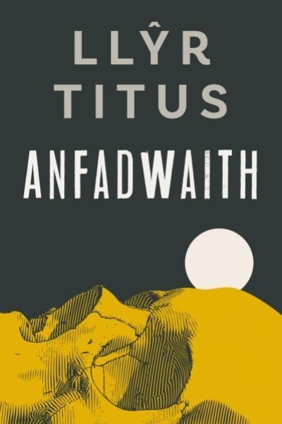 Cover for Llyr Titus · Anfadwaith (Paperback Book) (2023)