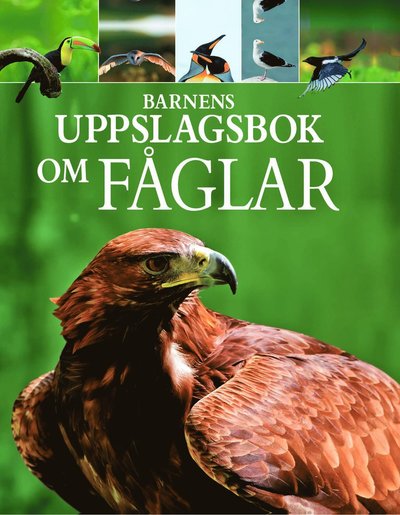 Cover for Barnens uppslagsbok om Fåglar (Bound Book) (2021)