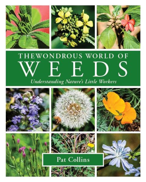 Cover for Pat Collins · The Wondrous World of Weeds (Paperback Book) (2017)