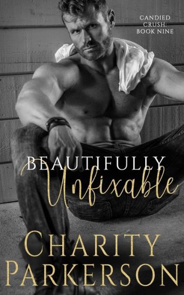 Cover for Charity Parkerson · Beautifully Unfixable (Pocketbok) (2020)