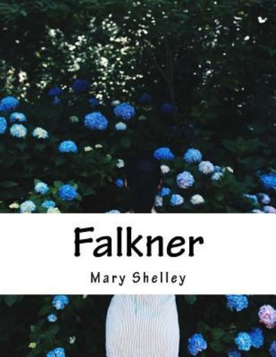 Cover for Mary Shelley · Falkner (Taschenbuch) (2017)