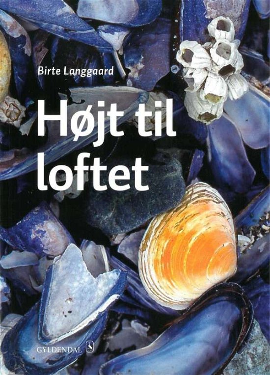 Cover for Højt til loftet - Kurs- und Übungsbuch (Buch)