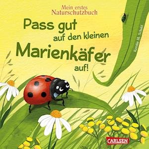 Cover for Kerstin M. Schuld · Pass Gut Auf Den Kleinen MarienkÃ¤fer Auf (Book)