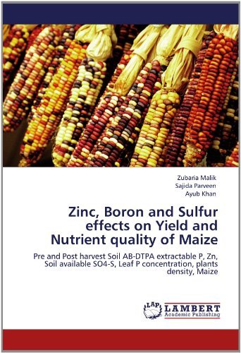 Cover for Ayub Khan · Zinc, Boron and Sulfur Effects on Yield and Nutrient Quality of Maize: Pre and Post Harvest Soil Ab-dtpa Extractable P, Zn, Soil Available So4-s, Leaf P Concentration, Plants Density, Maize (Pocketbok) (2012)