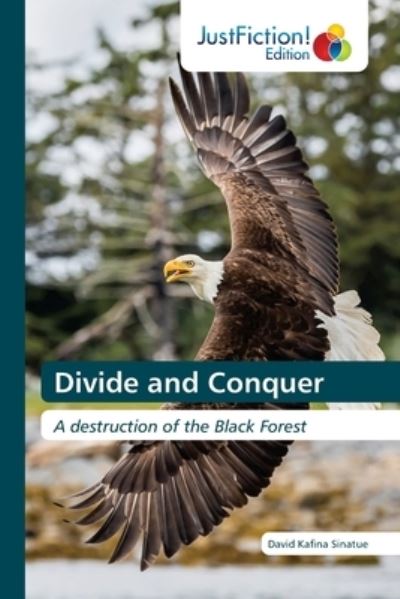 Cover for David Kafina Sinatue · Divide and Conquer (Paperback Book) (2021)