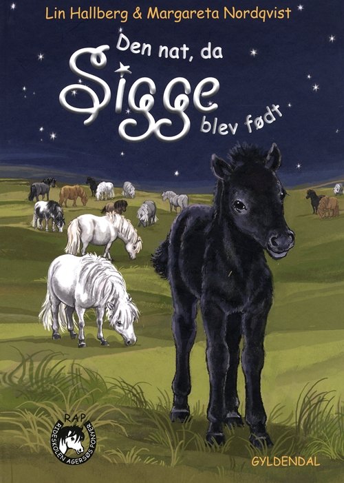 Cover for Lin Hallberg · Sam og Sigge: Sam og Sigge 2 - Den nat da Sigge blev født (Bound Book) [1er édition] [Indbundet] (2011)