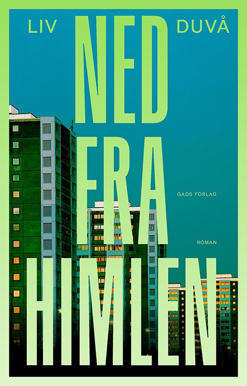 Cover for Liv Duvå · Ned fra himlen (Heftet bok) [1. utgave] (2024)