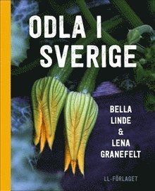 Cover for Bella Linde · Odla i Sverige / Lättläst (Bound Book) (2019)