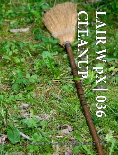 LAIR W pX 036 Cleanup - Wetdryvac - Books - Blurb - 9798210453792 - May 1, 2024
