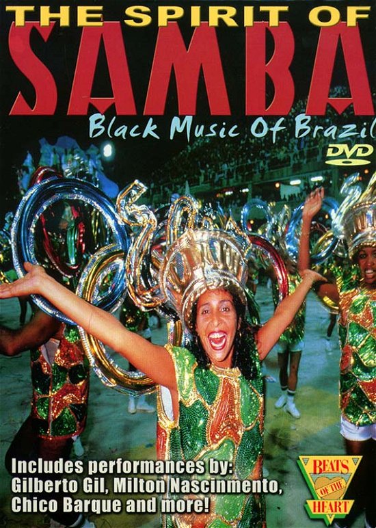 Spirit of Samba Black Music of Brazil - Spirit of Samba Black Music of Brazil - Filme - SHANACHIE - 0016351120793 - 9. Januar 2001