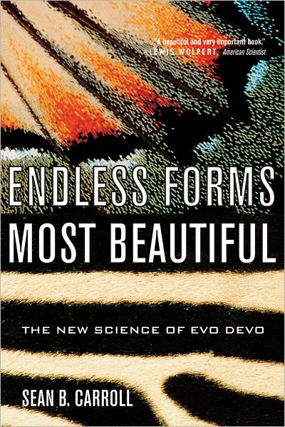 Cover for Sean B. Carroll · Endless Forms Most Beautiful: The New Science of Evo Devo (Paperback Book) (2006)