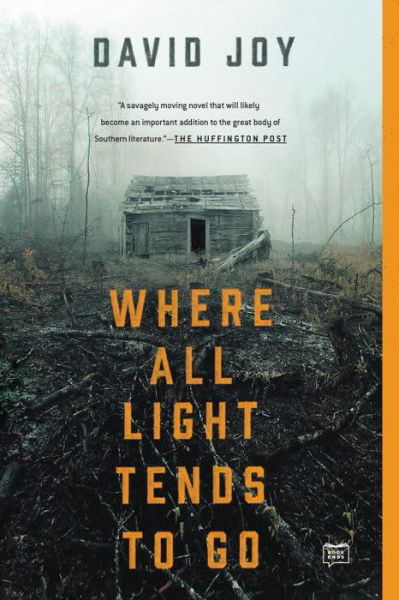 Cover for David Joy · Where All Light Tends to Go (Paperback Book) (2016)