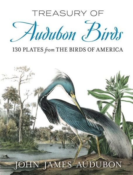 Cover for John James Audubon · Treasury of Audubon Birds: 130 Plates from the Birds of America (Pocketbok) (2020)
