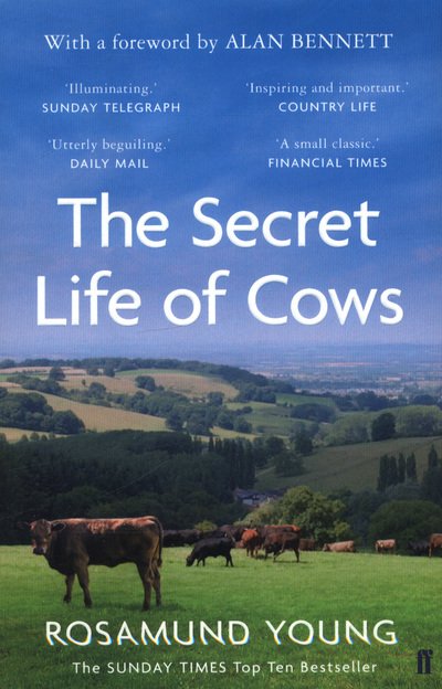 Cover for Rosamund Young · The Secret Life of Cows (Taschenbuch) [Main edition] (2018)