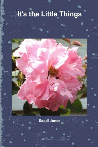 Cover for Sandi Jones · It's the Little Things (Paperback Book) (2013)