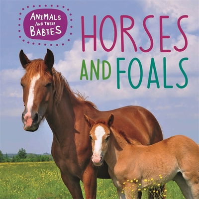 Animals and their Babies: Horses & foals - Animals and their Babies - Annabelle Lynch - Books - Hachette Children's Group - 9781445148793 - February 28, 2019