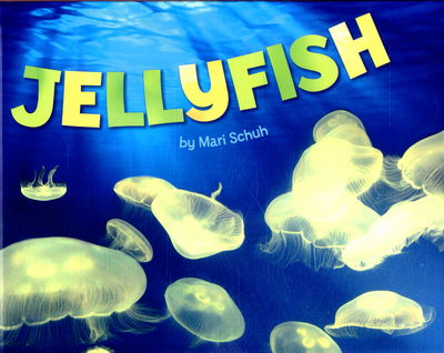 Cover for Mari Schuh · Jellyfish - Sea Life (Hardcover Book) (2015)