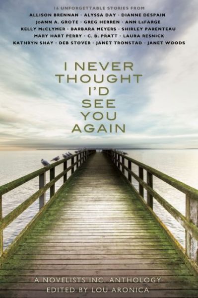 I Never Thought I'd See You Again: A Novelists Inc. Anthology - Lou Aronica - Books - The Story Plant - 9781611880793 - July 30, 2013