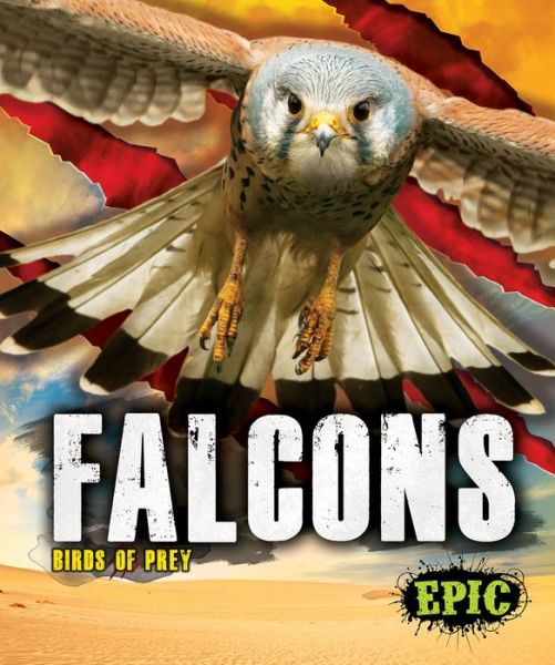 Cover for Nathan Sommer · Falcons - Birds of Prey (Hardcover Book) (2019)