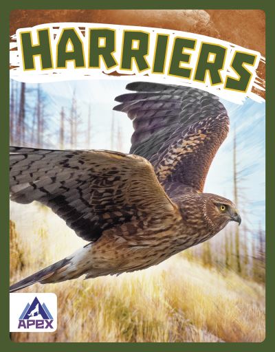 Cover for Connor Stratton · Harriers - Birds of Prey (Paperback Book) (2022)