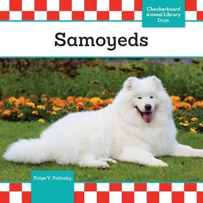 Cover for Paige V Polinsky · Samoyeds (Hardcover Book) (2016)