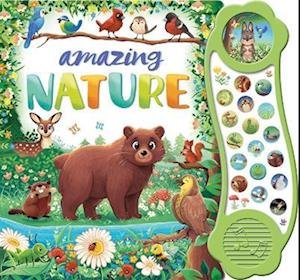 Cover for Igloo Books · Amazing Nature (Kartonbuch) (2022)