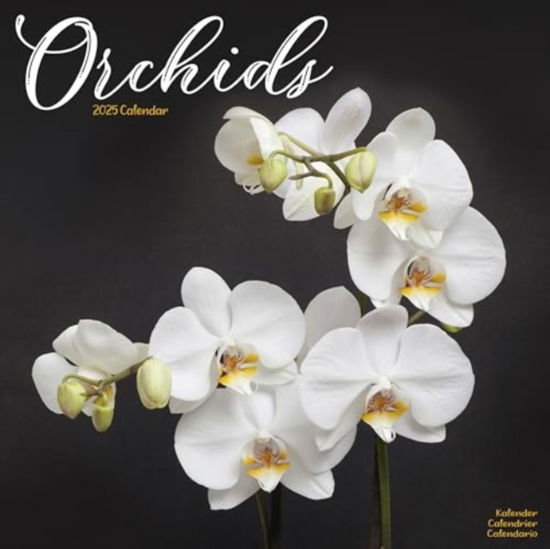 Orchids Calendar 2025 Square Flowers Wall Calendar - 16 Month (Calendar) (2024)