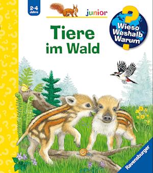 Cover for Patricia Mennen · Wieso? Weshalb? Warum? junior, Band 77: Tiere im Wald (Buch) (2025)