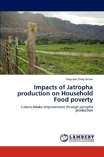 Cover for Negussie Zeray Gebru · Impacts of Jatropha Production on Household Food Poverty: Calorie Intake Improvement Through Jatropha Production (Paperback Bog) (2012)
