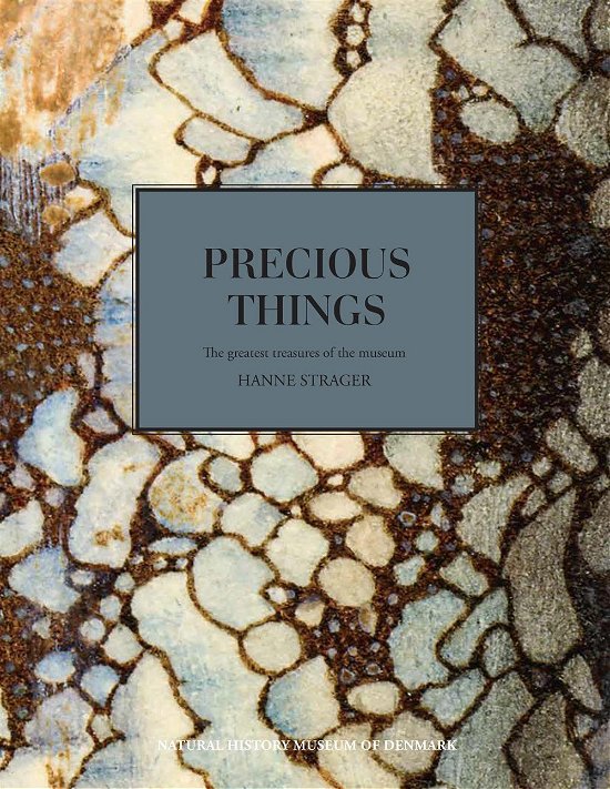 Cover for Hanne Strager · Precious Things (Hardcover Book) [1. Painos] (2015)