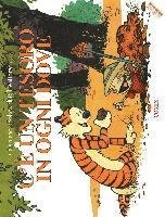 Cover for Bill Watterson · C'e Un Tesoro In Ogni Dove. Calvin &amp; Hobbes (Book)