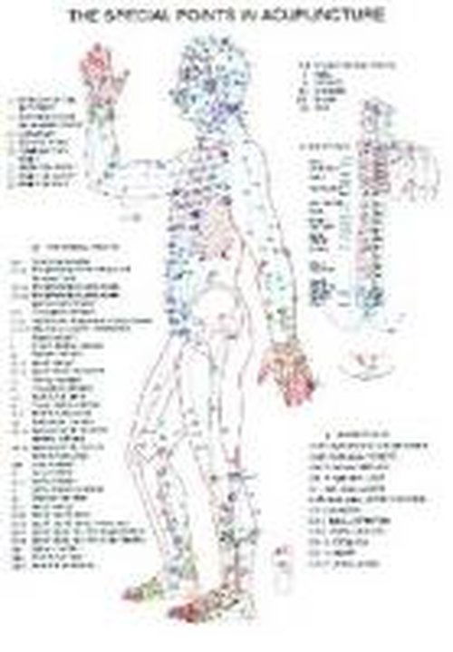 Special Points in Acupunture -- A4 - Jan van Baarle - Merchandise - Jan van Baarle - 9789070281793 - February 1, 1997