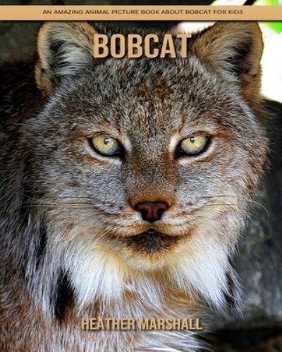 Cover for Heather Marshall · Bobcat: An Amazing Animal Picture Book about Bobcat for Kids (Pocketbok) (2021)