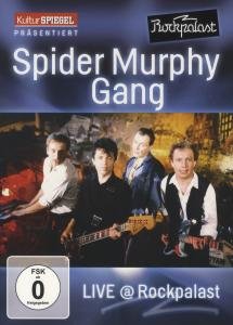 Spider Murphy Gang.Rock,DVD.88765408279 - Spider Murphy Gang - Bøger - SONY - 0887654082794 - 9. november 2012
