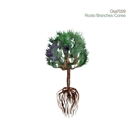 Cover for Osa7029 · Roots / Branches / Cones (CD) (2021)