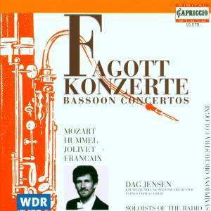 Cover for Bassoon Concertos / Various (CD) (1996)