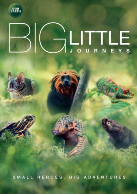 Cover for Big Little Journeys DVD · Big Little Journeys  - The Complete Mini Series (DVD) (2023)